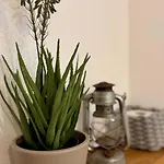 Apartamento Kathi's Allgaeuliebe Weitnau